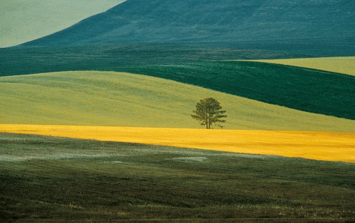 Franco Fontana – Ritorno al paesaggio